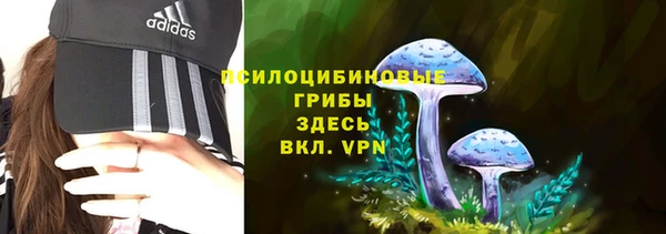 spice Баксан