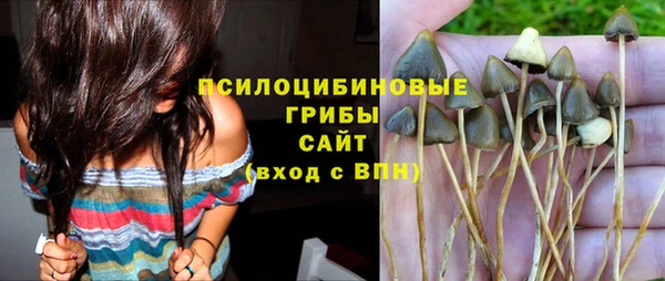 ешки Армянск