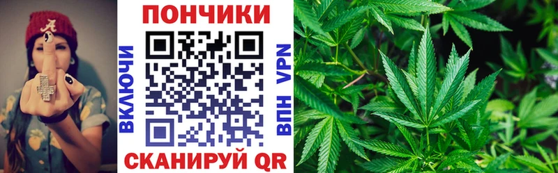 Купить  Сердобск  Каннабис OG Kush 